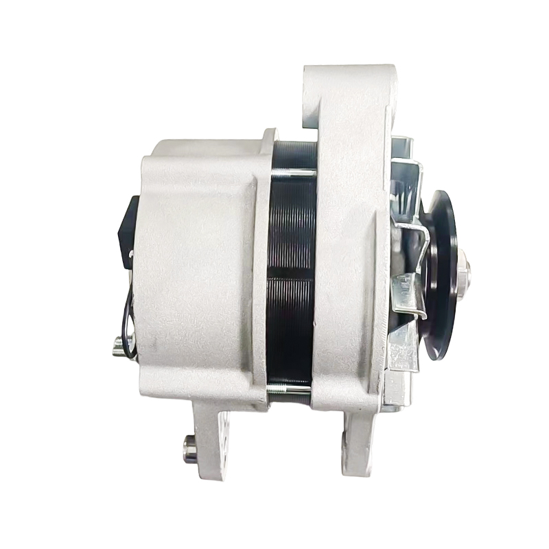 MG791 AAK4653 IA1616 11204629 72442837 AAK4653 12V 120A 8PK62mm ISKRA/Alternadores LETRIKA